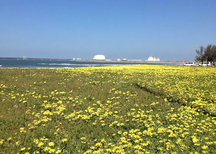 Slowly Garden House *