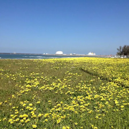 Slowly Garden House *